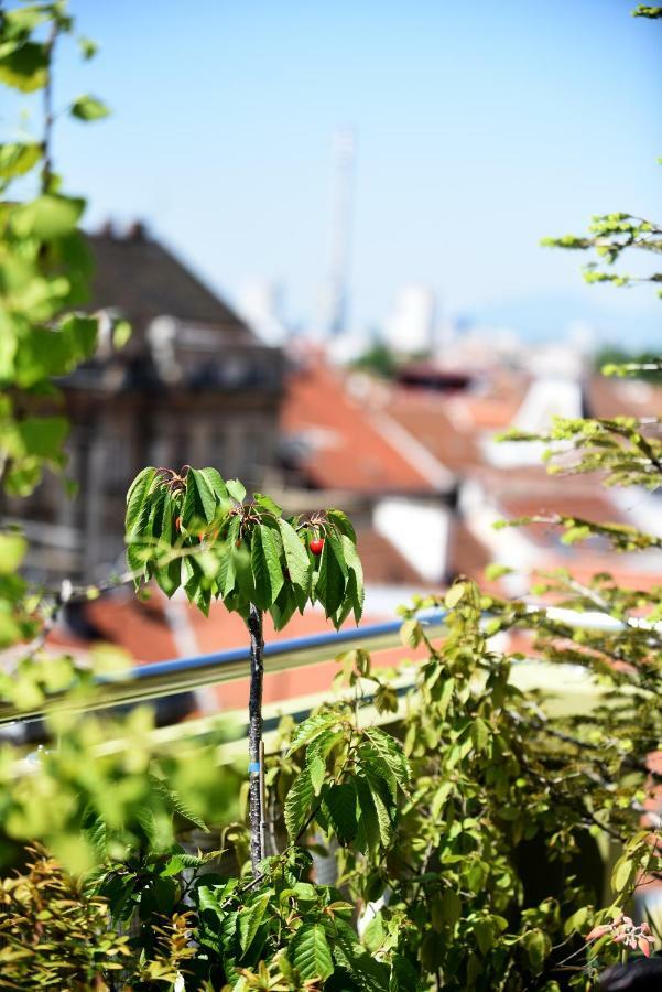 Zagreb Rooftops Eksteriør bilde
